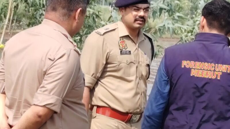 मेरठ में महिला की कुल्हाड़ी से हत्या, सिर-चेहरे पर किए कई वार