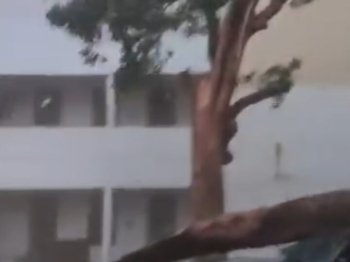तेज आंधी का कहर, सुकृत पुलिस चौकी में पेड़ गिरने से पुलिस वाहन क्षतिग्रस्त