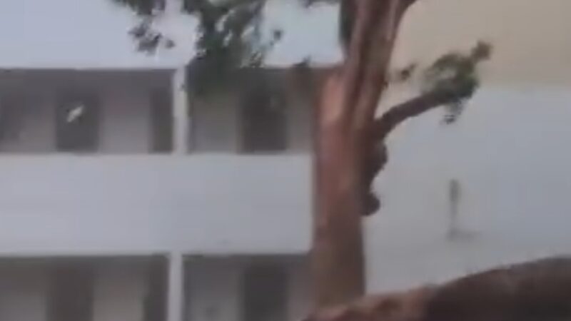 तेज आंधी का कहर, सुकृत पुलिस चौकी में पेड़ गिरने से पुलिस वाहन क्षतिग्रस्त