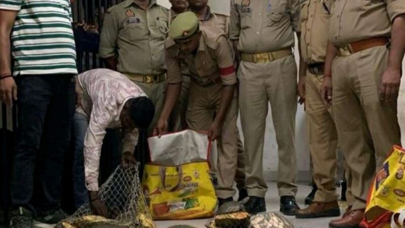 जीआरपी : 20 लाख रुपये के 45 दुर्लभ कछुए बरामद
