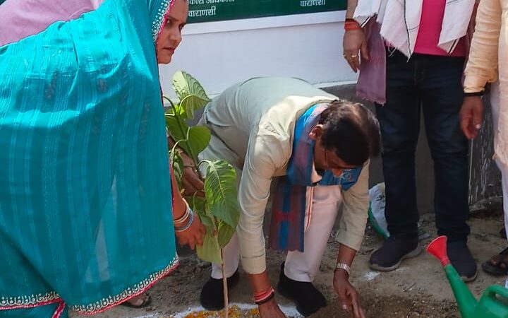 एक पेड़ मां के नाम अभियान के तहत चोलापुर में विधायक ने लगाया पौधा, ग्राम सचिव के कार्यों की सराहना