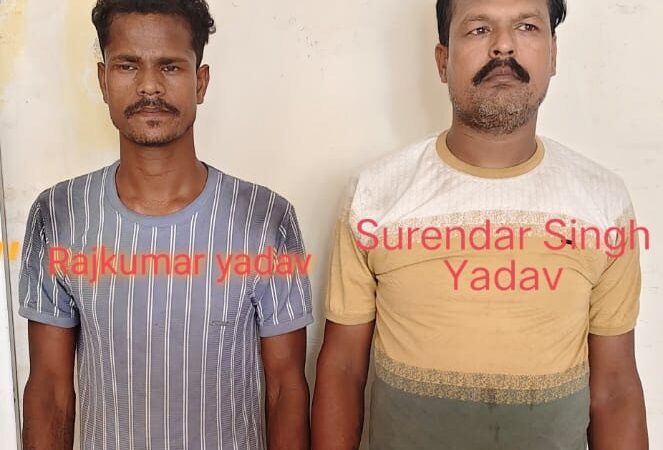 चंदौली : STF ने ट्रक से 505 किलो गांजा किया बरामद