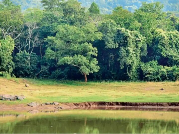 देहरादून में हरियाली बचाने को सख्त नियम, भवन नक्शों में दिखाने होंगे पेड़ और प्राकृतिक संरचनाएं