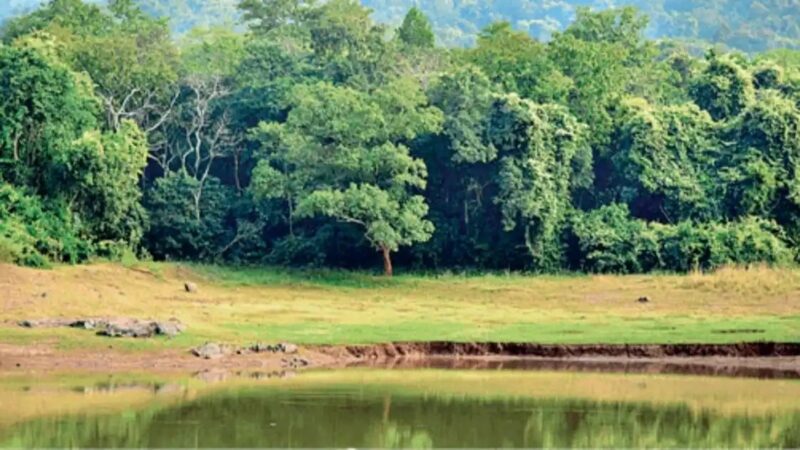 देहरादून में हरियाली बचाने को सख्त नियम, भवन नक्शों में दिखाने होंगे पेड़ और प्राकृतिक संरचनाएं