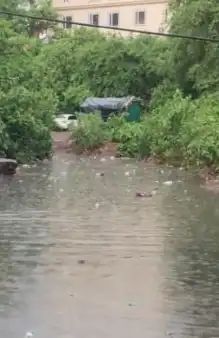 भक्ति नगर कॉलोनी में खुले नाले को लेकर फूटा लोगों का गुस्सा, महापौर के खिलाफ खोला मोर्चा