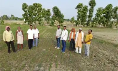 डीएसआर पद्धति से तीन एकड़ में धान की बुवाई, कृषि विभाग ने किसानों को किया जागरूक