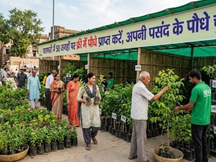 वाराणसी में 50 से अधिक केंद्रों पर मुफ्त बांटे गए पौधे