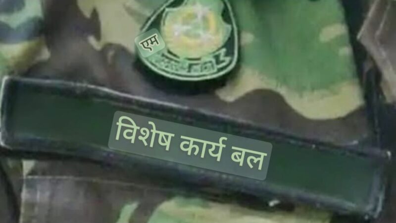 UPSSSC परीक्षा में नकल कराने वाले गिरोह का STF ने किया भंडाफोड़, 13 गिरफ्तार
