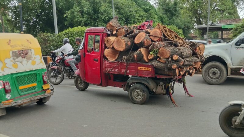 दिनदहाड़े हरे नीम के पेड़ की लकड़ी लादकर शहर से गुजरा वाहन