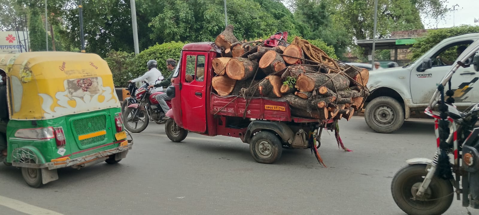 दिनदहाड़े हरे नीम के पेड़ की लकड़ी लादकर शहर से गुजरा वाहन