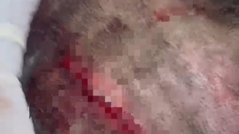 वरिष्ठ पत्रकार अरुण सिंह के बेटे-बहू पर जानलेवा हमला, पथराव में पुत्र अनुराग गंभीर घायल