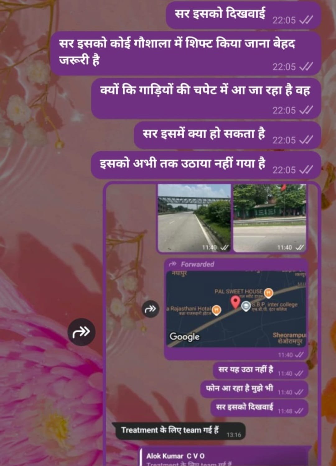 कांवरिया मार्ग के बीच चार दिन से तड़प रहे नंदी, शिवभक्तों की आस्था हुई आहत