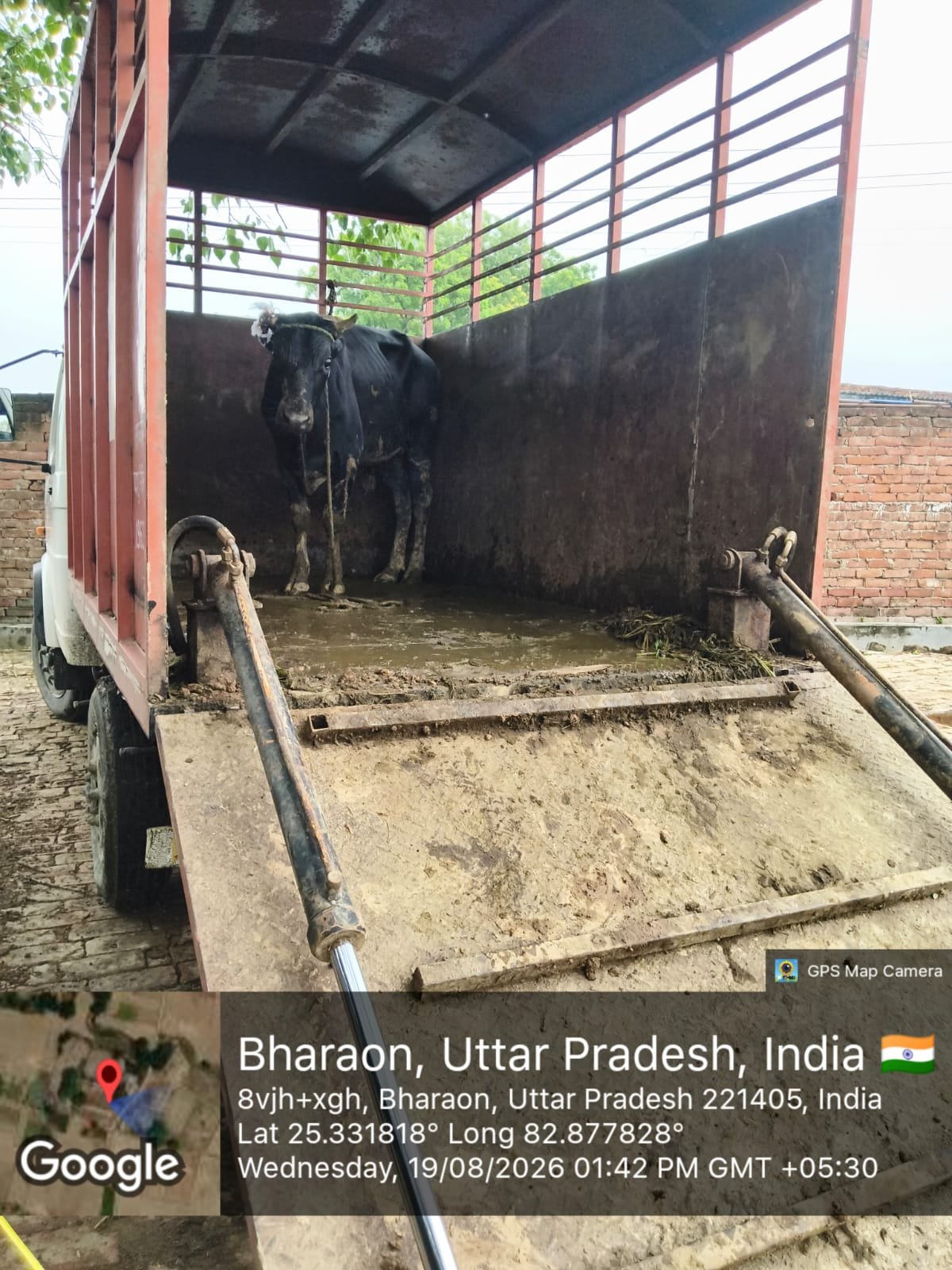 12 दिन तक घायल नंदी की नहीं ली सुध, गौ रक्षा वाहिनी ने पहुंचाया सुरक्षित आश्रय केंद्र