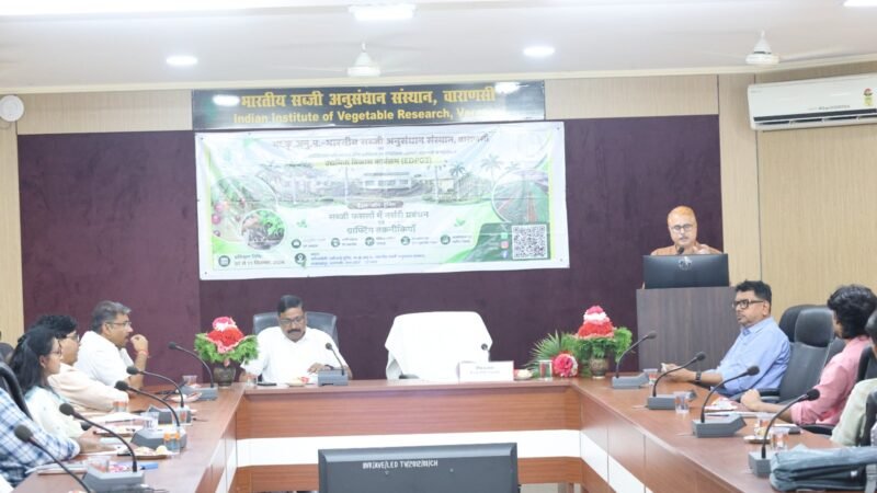 आईआईवीआर में सब्जी फसलों में ग्राफ्टिंग तकनीक का प्रशिक्षण शुरू