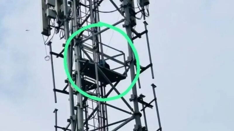 शादी की जिद पर अड़ी युवती मोबाइल टॉवर पर चढ़ी युवती