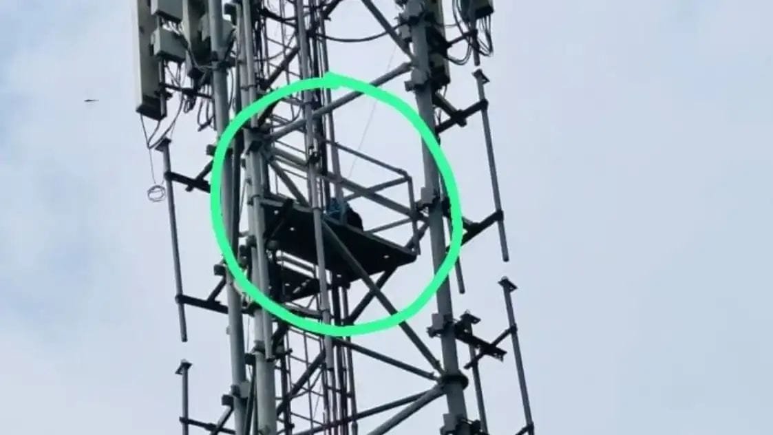 शादी की जिद पर अड़ी युवती मोबाइल टॉवर पर चढ़ी युवती