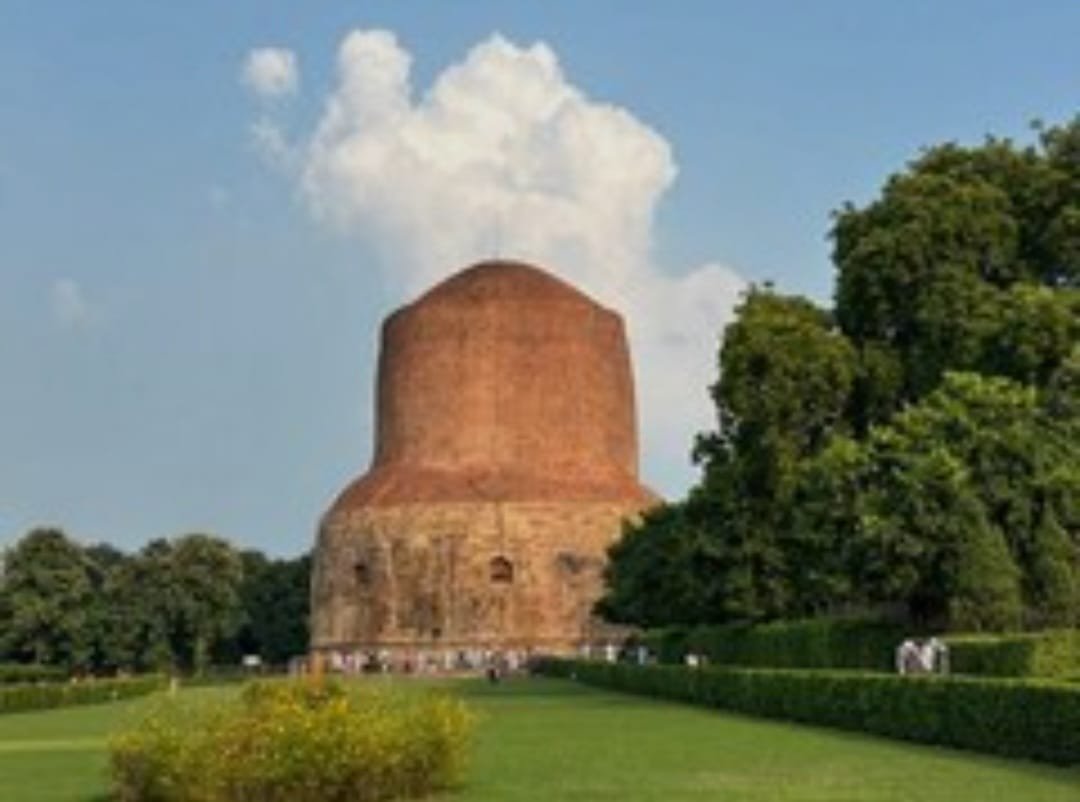 सारनाथ में सूखे पौधे और गंदगी देख विश्व बैंक की टीम नाराज