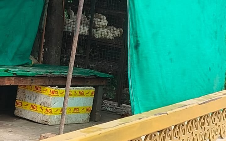 नवरात्र में लोहता समेत कई बाजारों में खुलीं मांस-मछली की दुकानें