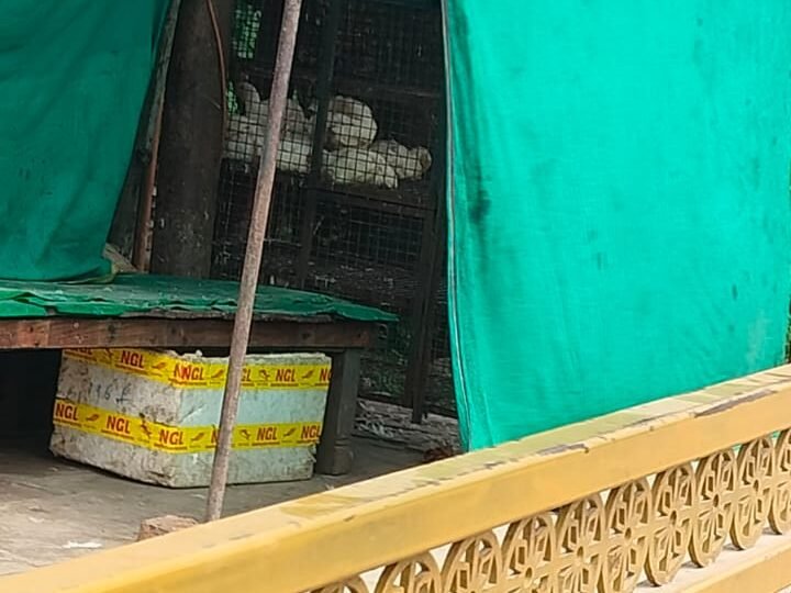 नवरात्र में लोहता समेत कई बाजारों में खुलीं मांस-मछली की दुकानें