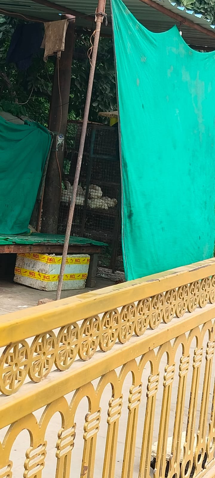 नवरात्र में लोहता समेत कई बाजारों में खुलीं मांस-मछली की दुकानें
