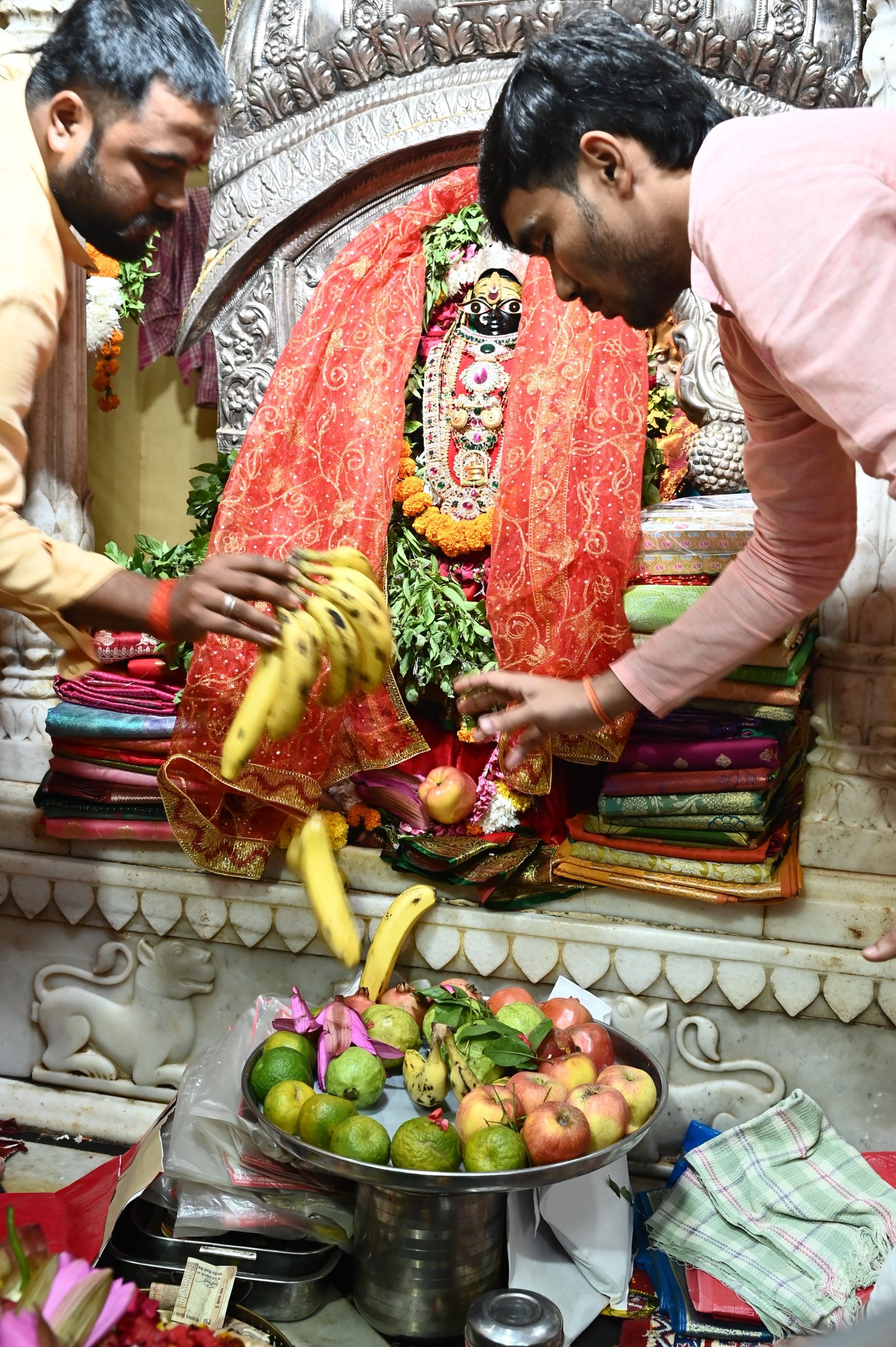 नवरात्रि के सप्तम दिवस पर मां भगवती की आराधना, नवदुर्गा सप्तशती का पाठ