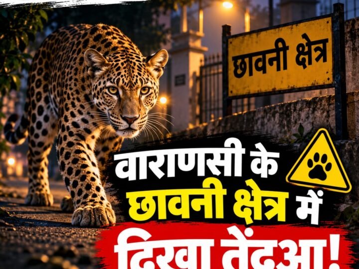 छावनी क्षेत्र के निजी विद्यालय के सीसी कैमरे में दिखा तेंदुआ, दहशत