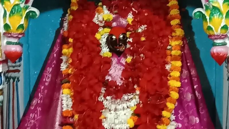 महानवमी पर मां सिद्धिदात्री के दरबार में उमड़े श्रद्धालु